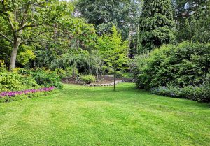 Optimiser l'expérience du jardin à Tournedos-Bois-Hubert